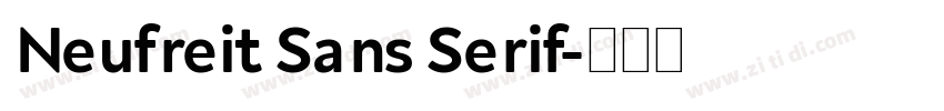 Neufreit Sans Serif字体转换
